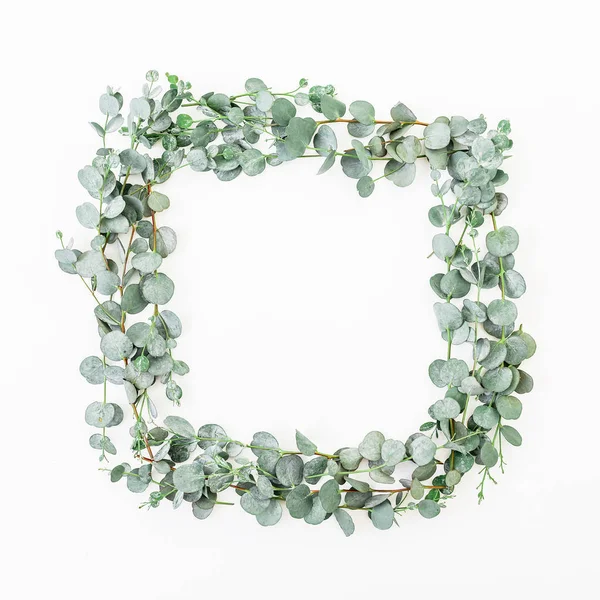  Okaliptüs dalları üzerinde beyaz izole 