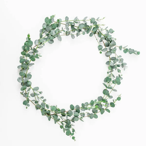  Okaliptüs dalları üzerinde beyaz izole 