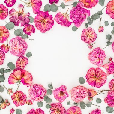 Pembe güller ve yaprakları