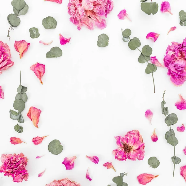 Rosas e folhas cor de rosa — Fotografia de Stock