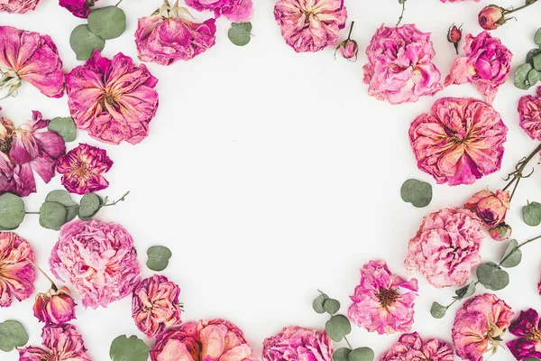 Roze rozen en bladeren — Stockfoto
