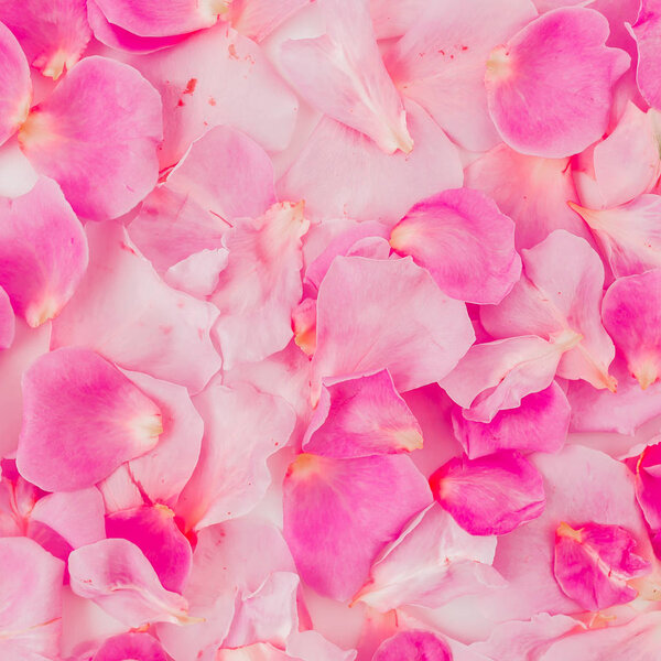 Tender pink petals background