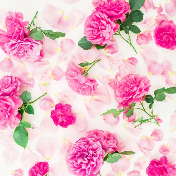 Нежные розовые цветы — стоковое фото