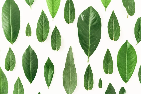 Yeşil yapraklardan oluşan yaratıcı bir düzen. 