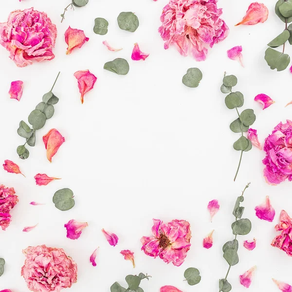 Růžových růží a listů — Stock fotografie
