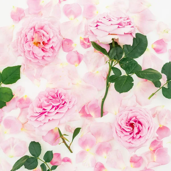Něžně růžové květy — Stock fotografie