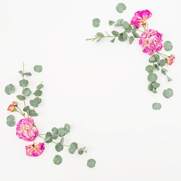 Rosas y hojas rosadas —  Fotos de Stock