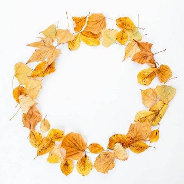 Yaprak çiçek desenli 