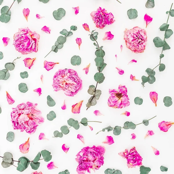 Droge roze bloemen — Stockfoto
