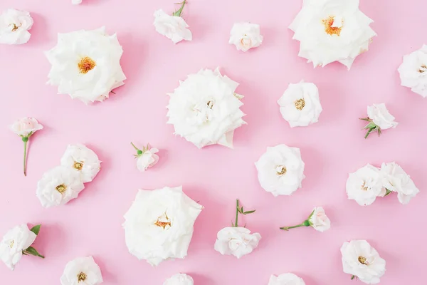 Белые розы, цветы — стоковое фото