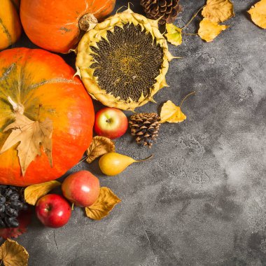 Şükran günü sonbahar arka plan. Düz yatıyordu