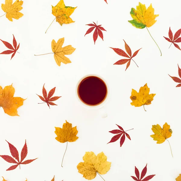 Taza de café con hojas de otoño — Foto de Stock