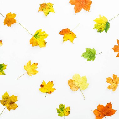 Yaprak çiçek desenli 