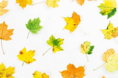 Yaprak çiçek desenli 