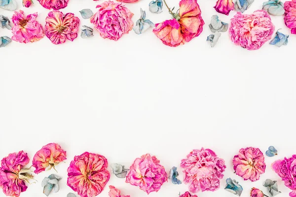 Cadre floral avec des roses — Photo