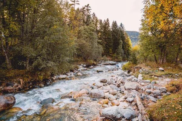 Fiume Montagna Nella Foresta Verde Tramonto — Foto Stock