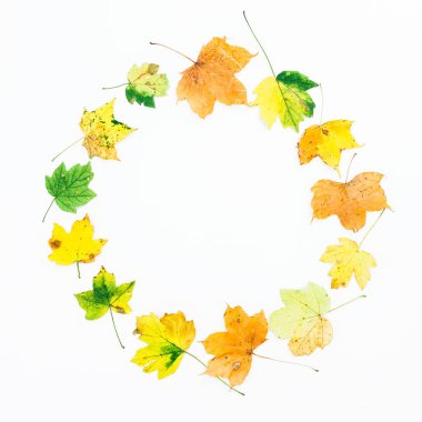 Yaprak çiçek desenli 