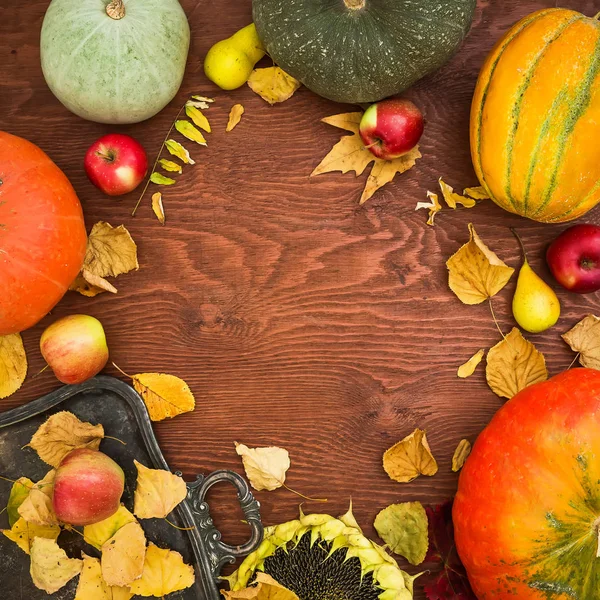 Şükran sonbahar arka plan. 