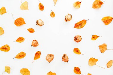 Yaprak çiçek desenli 