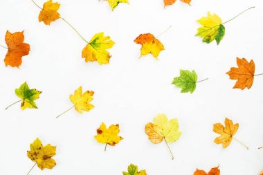 Yaprak çiçek desenli 