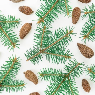  Noel ağacı ve koniler  