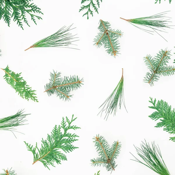 Winter patroon van kerstbomen — Stockfoto