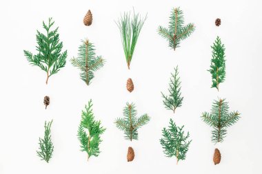 Noel ağaçları ve koniler desen