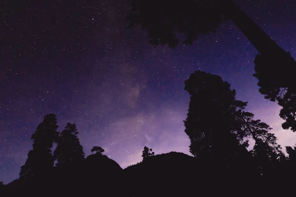 Paisaje Nocturno Con Vía Láctea Algunos Árboles Las Montañas — Foto de Stock