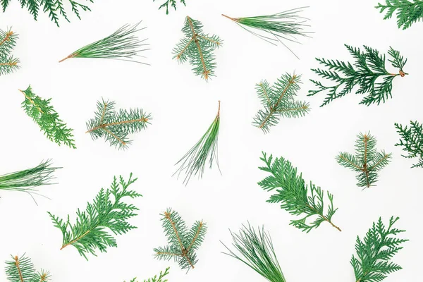 Winter patroon van kerstbomen — Stockfoto
