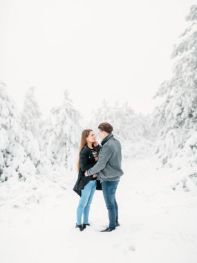 Genç çift sarılma. Kış aşk hikayesi ormandaki