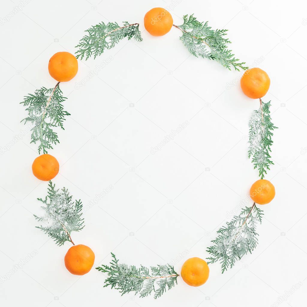 fir branches and tangerines  on white background. Flat lay. Top view