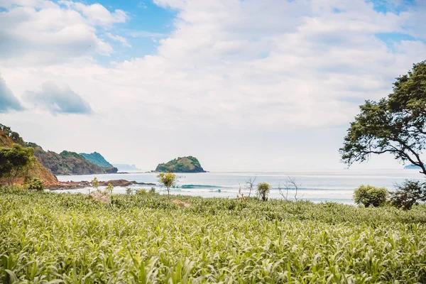 Océano Azul Tropical Con Olas Acantilado Rocoso Bali Paraíso Lugar —  Fotos de Stock
