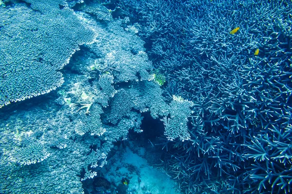 美丽的大自然 海洋中的水质地 — 图库照片