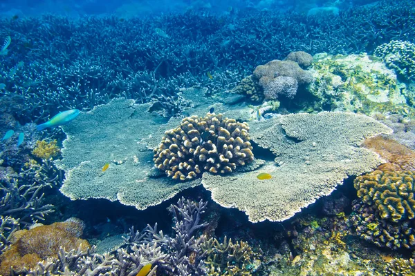Beautiful Nature Water Texture Ocean — Stock Photo, Image