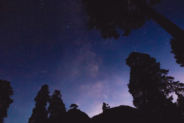 Night Landscape Milky Way Some Trees Mountains — Stock Photo, Image