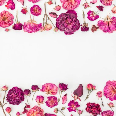 Pembe güller ve beyaz zemin üzerine tomurcukları çerçeve çiçek yaptı. Sevgililer günü. Düz yatıyordu, en iyi görünümü