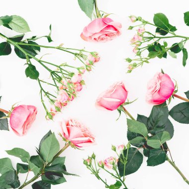 Pembe Güllü çiçek kompozisyon dalları ve beyaz arka plan üzerinde bırakır. Düz yatıyordu, en iyi görünümü.