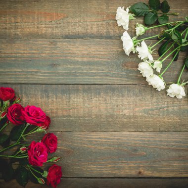 ahşap arka plan üzerinde güzel parlak kırmızı ve beyaz gül Üstten Görünüm