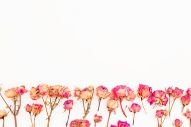 Pembe güller ve yaprakları