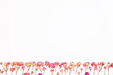 Pembe güller ve yaprakları