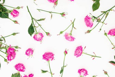 Pembe Güllü çerçeve çiçek dalları ve beyaz arka plan üzerinde bırakır. Düz yatıyordu, en iyi görünüm. Sevgililer günü kompozisyon