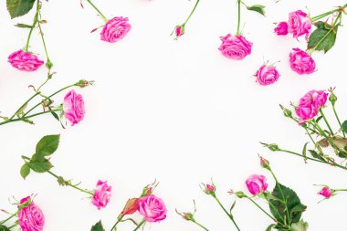 Pembe Güllü çerçeve çiçek dalları ve beyaz arka plan üzerinde bırakır. Düz yatıyordu, en iyi görünüm. Sevgililer günü kompozisyon