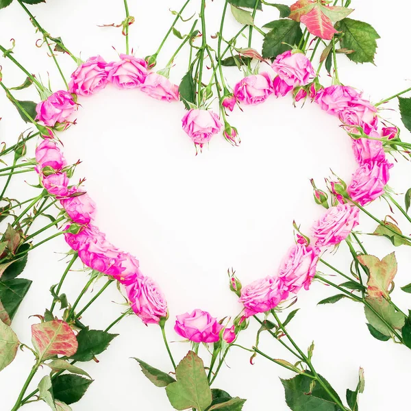 Pembe güller ve yaprakları