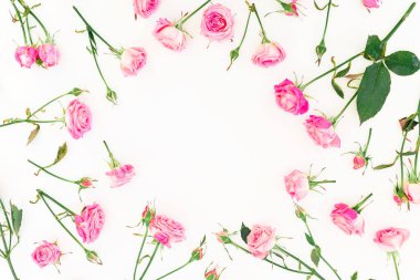 Pembe güller ve yaprakları