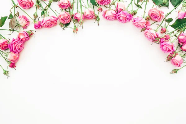 Rosas e folhas cor de rosa — Fotografia de Stock