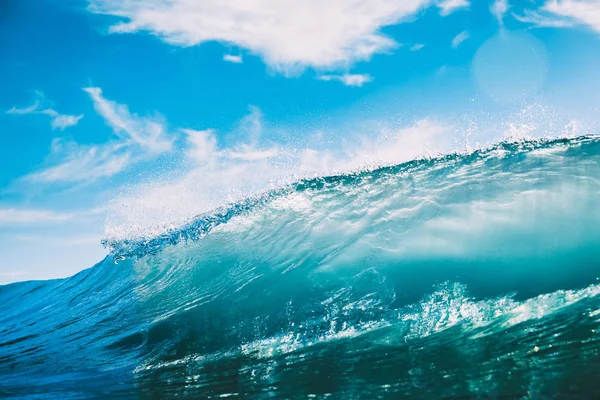 Blue barrel wave in ocean. Clear wave and sun light