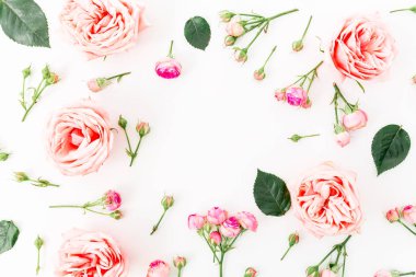 Pembe güller ve yaprakları