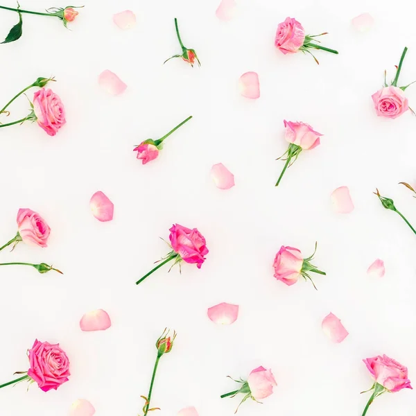 Padrão Com Botões Rosas Pétalas Fundo Branco Deitado Vista Cima — Fotografia de Stock