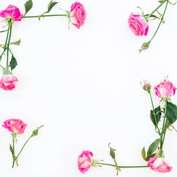 핑크 장미와 나뭇잎 — 스톡 사진