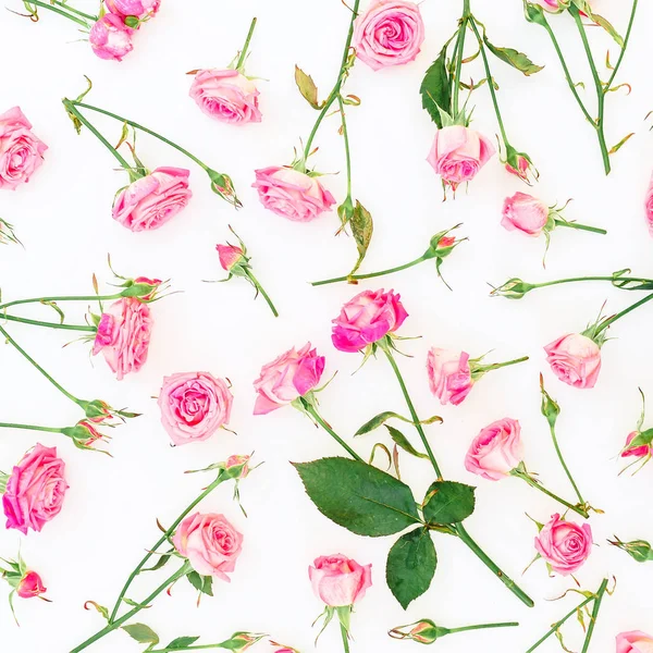 Patrón Floral Con Rosas Rosadas Ramas Hojas Sobre Fondo Blanco — Foto de Stock